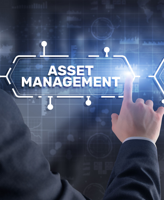 Digital Asset Management Solutions A person interacting with a digital asset management interface.